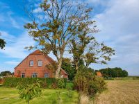 Carolinensiel Ferienhaus ⚓️Urlaub mit Hund am Meer LAST MINUTE Niedersachsen - Wangerland Vorschau