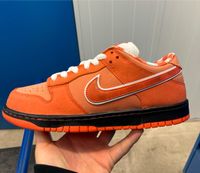 Nike Sb Dunk Low Orange Lobster (EU 42.5) Berlin - Neukölln Vorschau