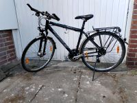 Fahrrad Bicycle alberta premium light, RH 50cm Hannover - Bothfeld-Vahrenheide Vorschau