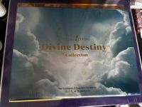 Divine Destiny Kollektion Thüringen - Suhl Vorschau