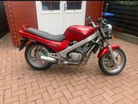 Honda NTV 650 Revere Motorrad Niedersachsen - Holzminden Vorschau