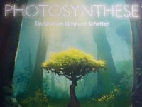 PHOTOSYNTHESE - Ein Spiel um Licht und Schatten. Wachstum Bäume Münster (Westfalen) - Angelmodde Vorschau