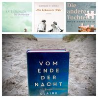 Weltbewegende Romane Bücher Neuwertig booksJoy.de Niedersachsen - Buxtehude Vorschau