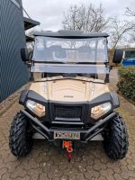 HISUN SECTOR 450 4 x 4 mit Winde NEUFAHRZEUG - beige Dithmarschen - Lohe-Rickelshof Vorschau