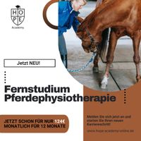 Noch 5 Plätze | Fernstudium Pferdephysiotherapie Bayern - Amberg Vorschau