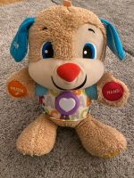 Fisher Price Musik Spielzeug Baby Hund Lernspielzeug Stofftier Berlin - Steglitz Vorschau