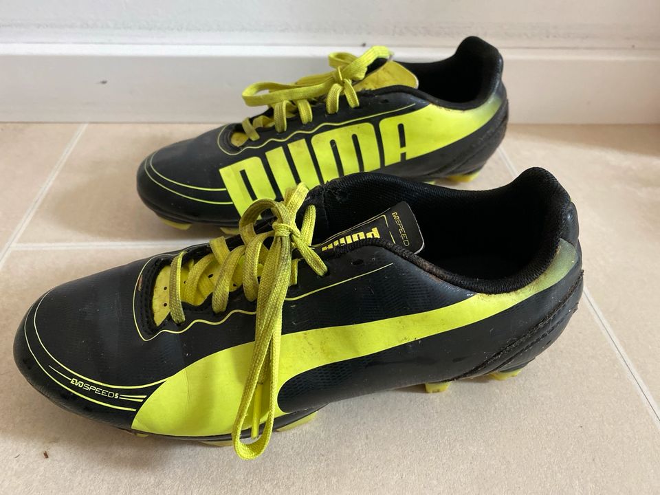 Fußballschuhe Puma Evospeed Gr36 in Weilheim i.OB