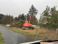 Baumfällung, Baumfällungen, Bäume fällen,Baum fällen, Baumschnitt Niedersachsen - Delmenhorst Vorschau