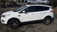 Ford Kuga 1,5 EcoBoost 4x2 110kW COOL & CONNECT Sachsen - Reichenbach (Vogtland) Vorschau