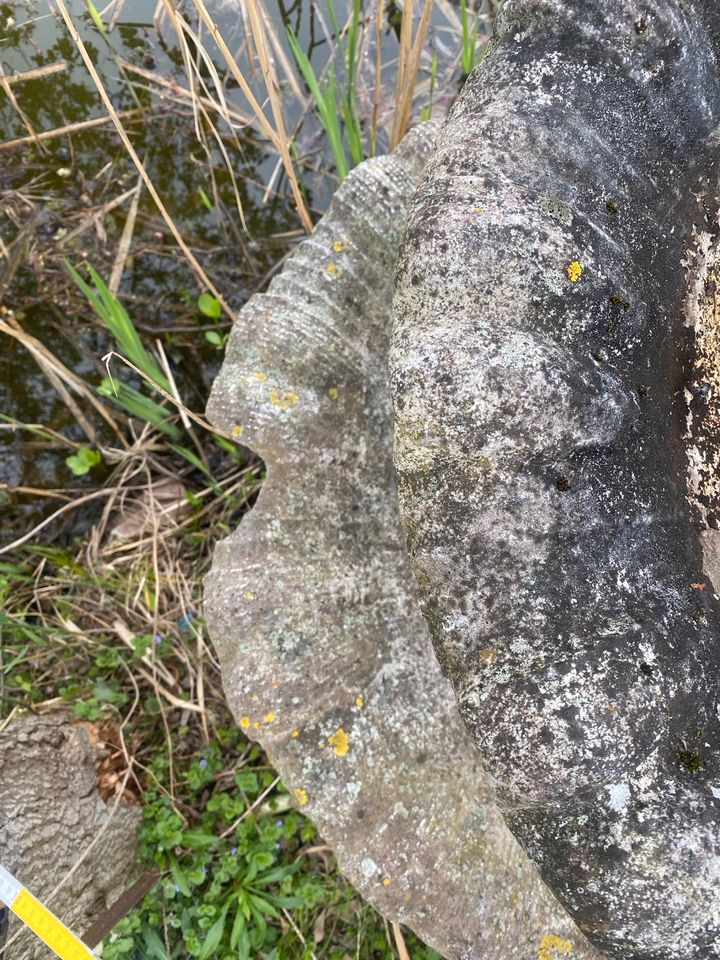 Verschieden Garten deko Brunnen Figuren aus Stein Metall Marmor in Bellheim