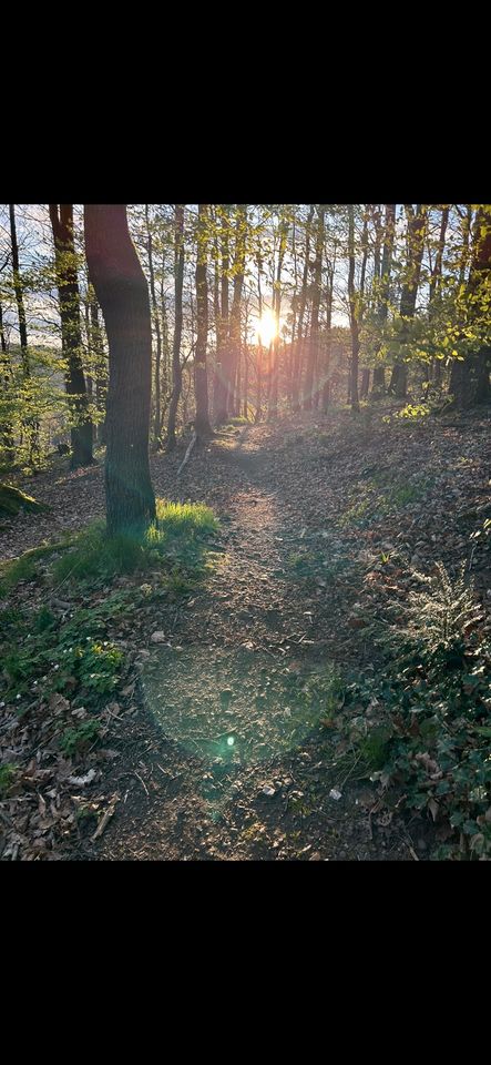 Übernachtung im Wald / Eifel in Nideggen / Düren