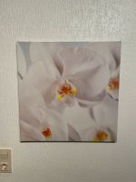 Orchidee Bilder auf Leinwand Köln - Ehrenfeld Vorschau