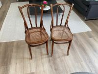 Thonet Stühle Nordrhein-Westfalen - Rietberg Vorschau