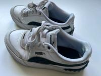 Puma Schuhe für Damen Gr 37 Münster (Westfalen) - Gievenbeck Vorschau