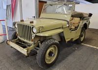 Jeep Willys Hessen - Groß-Gerau Vorschau