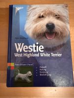 Westie, Westhighland White Terrier, Buch, neu Niedersachsen - Oldenburg Vorschau