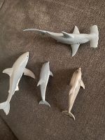 4 Schleich Tiere Hai Delfin und Co neuwertig Hessen - Eschenburg Vorschau