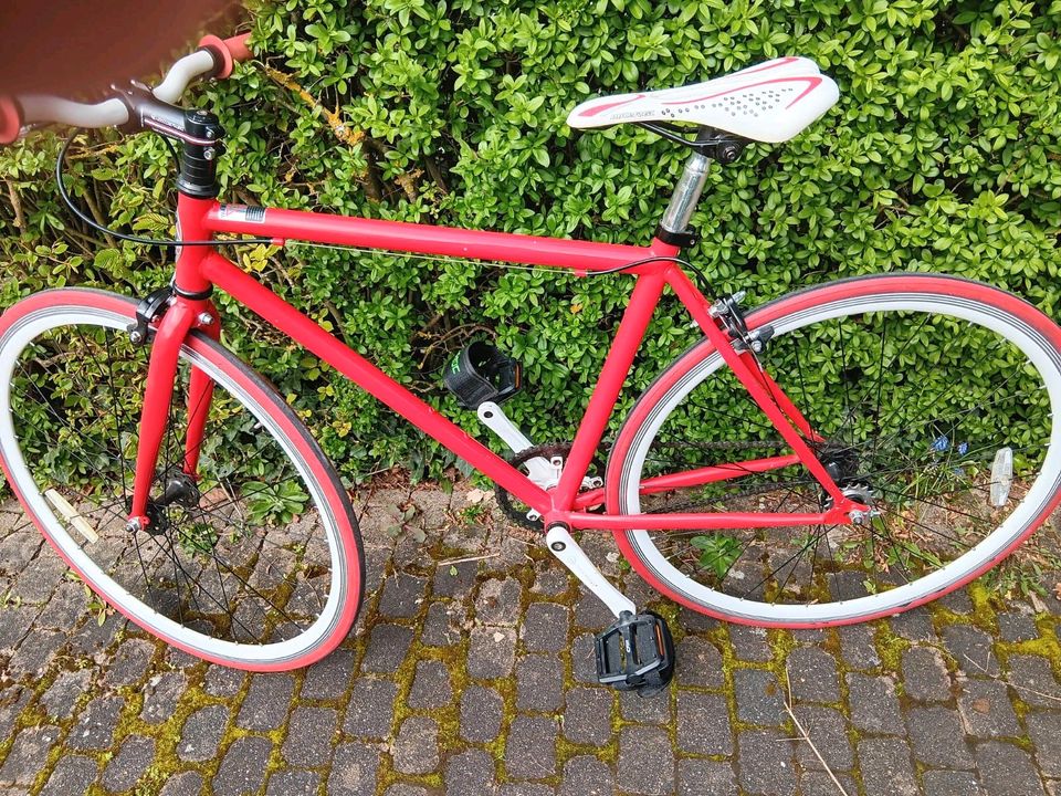 Rennrad/Sportrad für guten Zweck in Pfedelbach