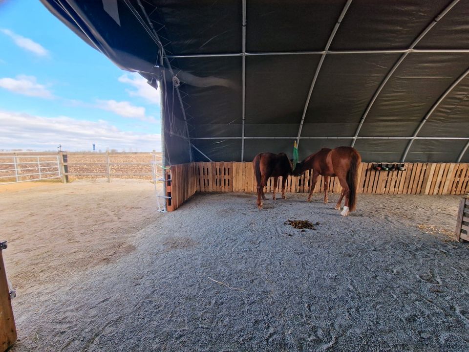 WEIDEZELT - Landwirtschaftliche Lagerlösung - Tiergehege Tierstall Reithalle Nutztierhaltung Viehzucht Lagerzelt Depot Fahrzeughalle Unterstand Garage Carport Überdachung Schutz Zeltlager Statik neu in Hamburg