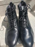 Damen Stiefel Paypal Hessen - Reiskirchen Vorschau