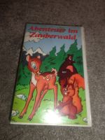 VHS Abenteuer im Zauberwald Sachsen - Bischofswerda Vorschau