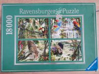 Puzzle Ravensburger 18000 Tropische Impressionen Bad Doberan - Landkreis - Broderstorf Vorschau