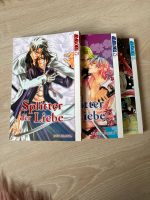 Splitter der Liebe Boys Love Mangas von Duo Brand Bayern - Mähring Vorschau
