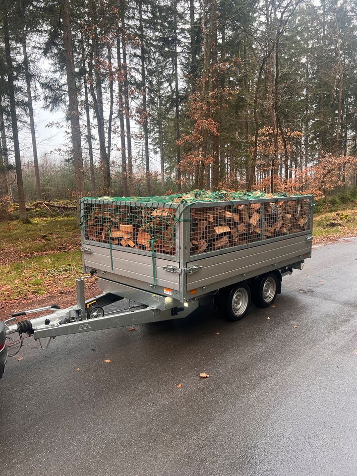 Brennholz Kaminholz Buche Eiche 25cm gespalten Lieferung möglich in Stromberg