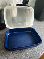 TUPPERWARE Brotdose Brotbox Sachsen - Wachau Vorschau