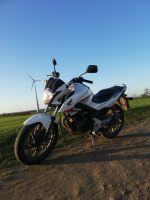 Honda CB 125 F Brandenburg - Schwedt (Oder) Vorschau