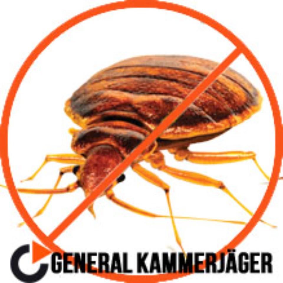 Kammerjäger in Berlin -Ratten, Mäuse, Bettwanzen, Wespen, Schaben in Berlin