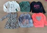 Paket 6 Pullis Pullover 116-122 Dresden - Blasewitz Vorschau