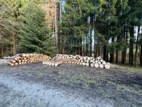 Brennholz 12 Festmeter zu verkaufen Baden-Württemberg - Wellendingen Vorschau
