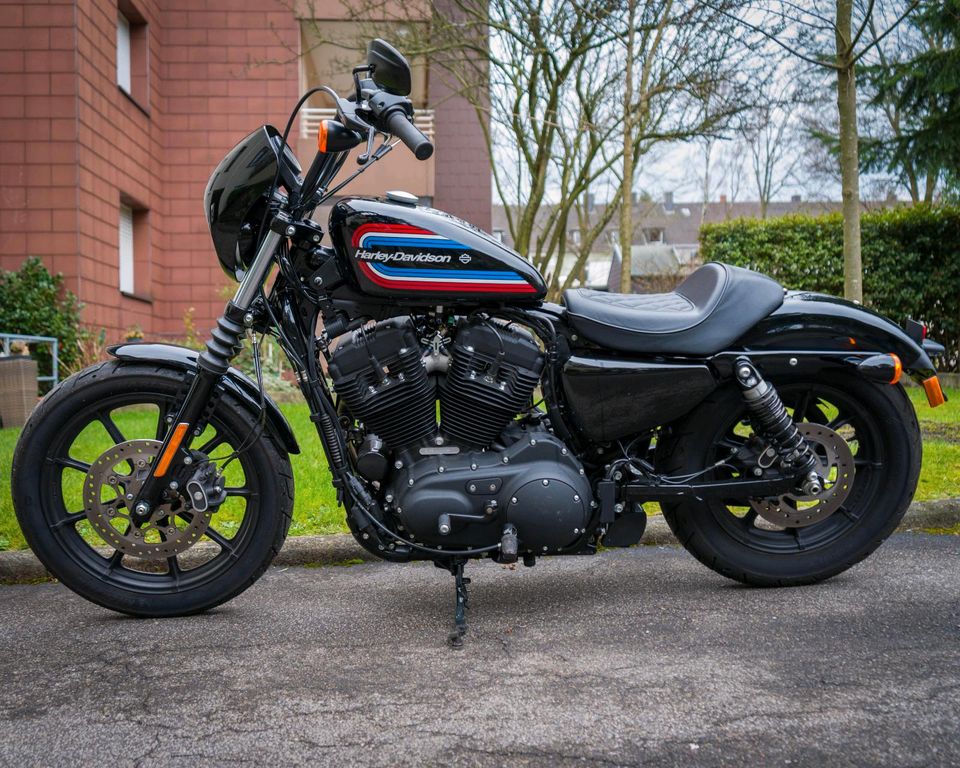 Harley Davidson Sportster Iron in Gelsenkirchen