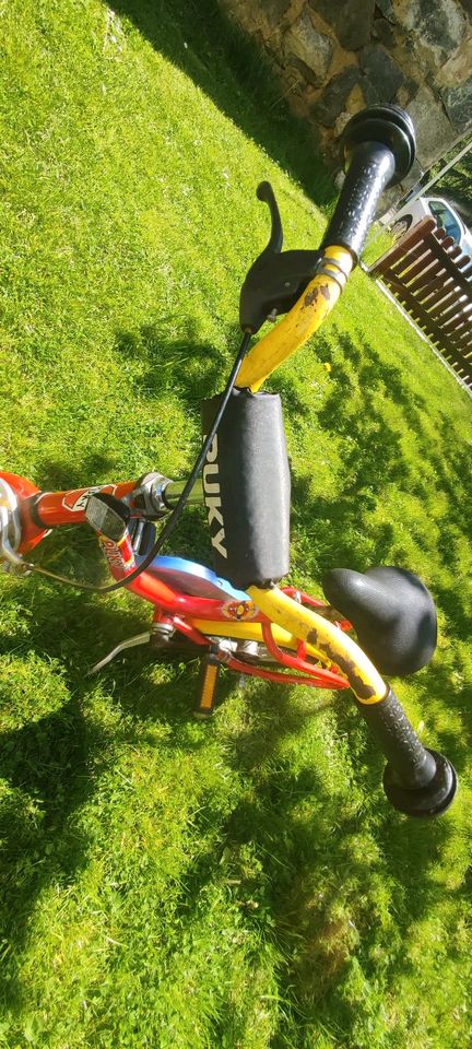 Puky Kinderfahrrad in rot/gelb 12 Zoll in Thiersheim