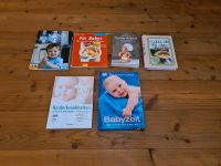Babybücher (Kochen, das erste Jahr,  Kinderkrankheiten) Hessen - Roßdorf Vorschau