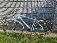 Pegasus Herren Fahrrad Baden-Württemberg - Rheinau Vorschau