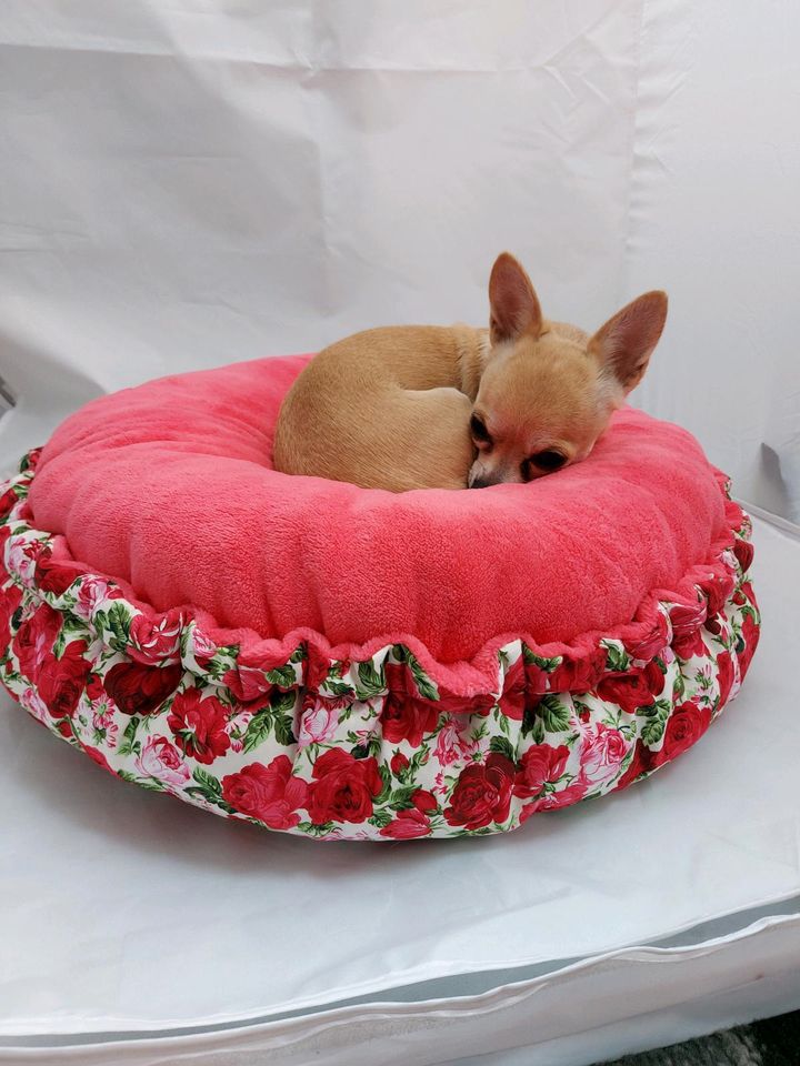 ❤️ Zubehör für Chihuahua, Geschirr, Leine, Bettchen usw ❤️ in Zossen