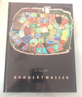 Hundertwasser Buch J.F. Mathey Baden-Württemberg - Bühl Vorschau