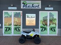 CFMOTO CFORCE EV110 Quad / ATV Kinderquad CF MOTO Rheinland-Pfalz - Enkenbach-Alsenborn Vorschau