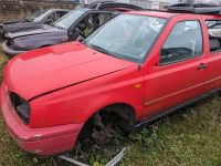 Schlachtfest VW Golf 3 Lila LC4T,Rot LP3G,Blau LR5V Nordrhein-Westfalen - Gronau (Westfalen) Vorschau