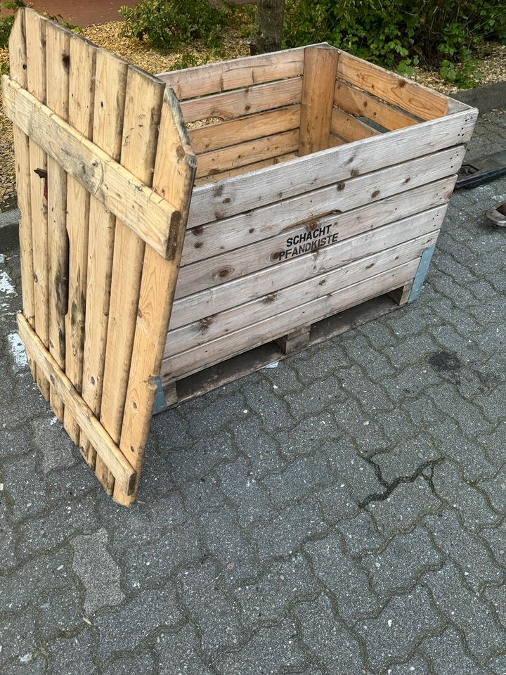 Hochbeet, Europalette. Garen, Box, Gärtner in Bad Segeberg