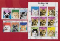 KATZEN ## RASSEKATZEN # PARAGUAY 1984 ## gestempelt ## Dresden - Räcknitz/Zschertnitz Vorschau