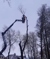 Baumfällung, Baumpflege, Baumschnitt Niedersachsen - Edewecht Vorschau