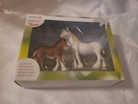 SCHLEICH Farm Life 72100 Stute mit Fohlen OVP wie neu Berlin - Mitte Vorschau