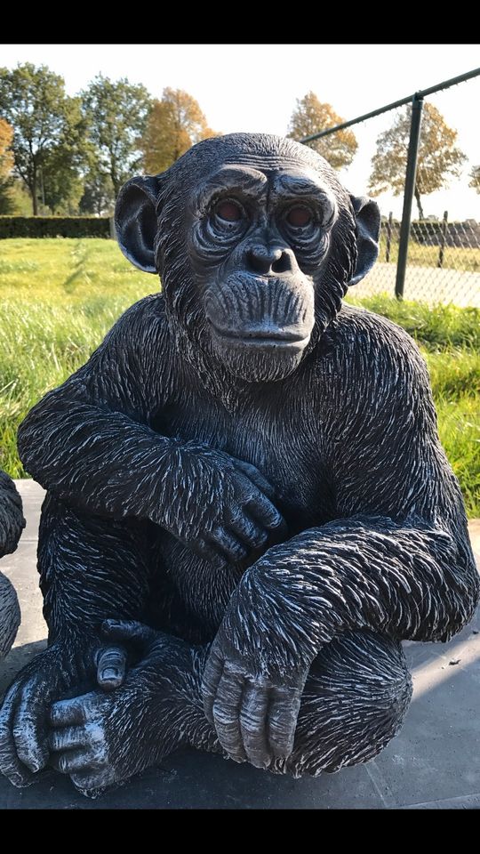 ‼️Schimpanse 52cm Chita Bonobo Steinguss Affe Affen Menschenaffen in Düsseldorf