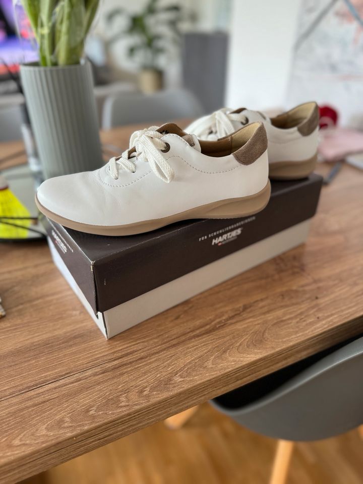 Neue Hartjes Sneaker / Schuhe in Hannover