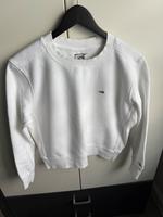 Tommy Sweatshirt Sachsen - Radeberg Vorschau