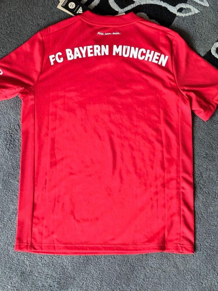 Trikot Adidas für Kinder FC Bayern München, Größe L/ 13-14 Jahre in Seelze