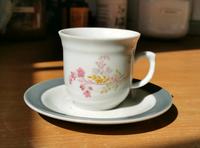 Mokka-Tasse aus DDR-Zeiten Henneberg Porzellan Hessen - Rodgau Vorschau
